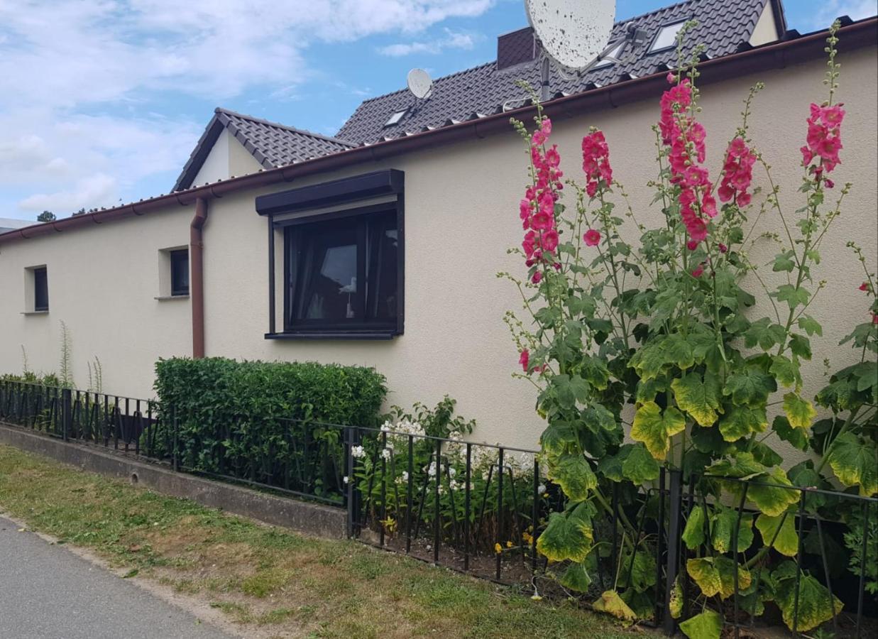 Ferienhaus An Der Ostsee 레리크 외부 사진